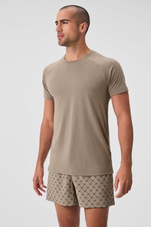 Triumph Raglan Tee - Gravel