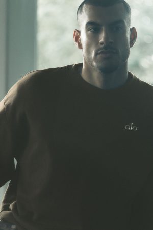 Accolade Crew Neck Pullover - Espresso