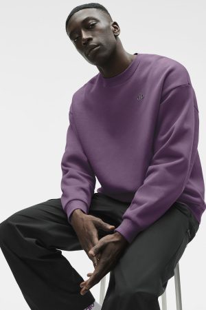 Accolade Crew Neck Pullover - Plum Kiss